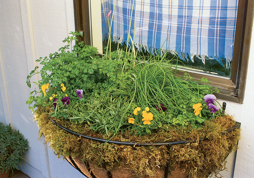 WINDOW FLOWER BASKET ON VINYL SIDING - Place Of My Taste