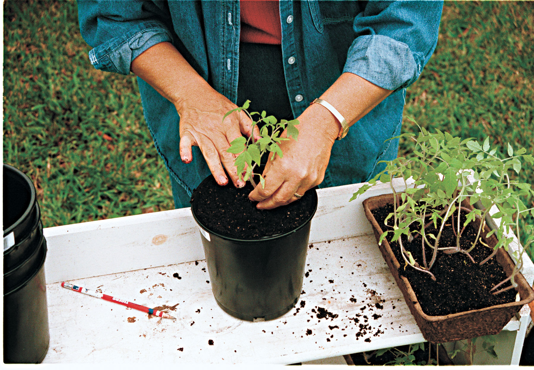 planting in a pot