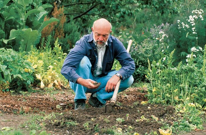 examining soil