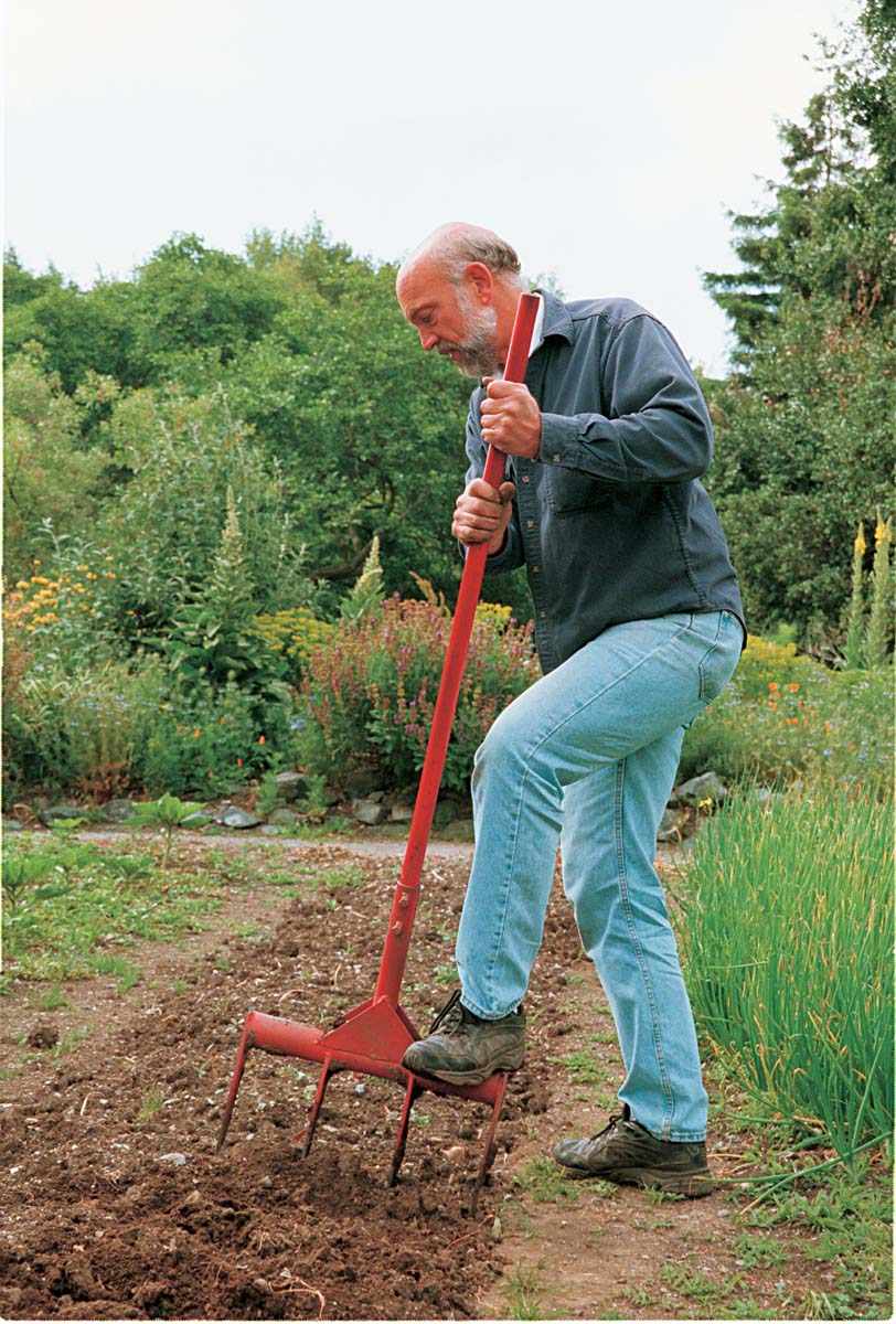 Image of Rake being used to turn over soil in a vegetable garden