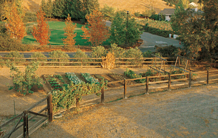 wide view of garden