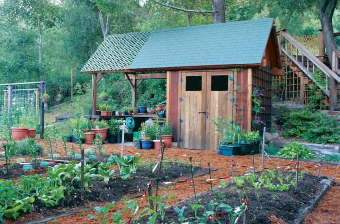 garden with shed