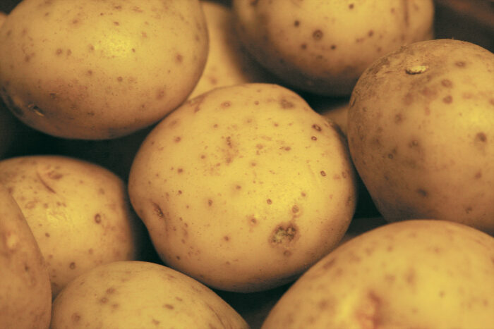 ‘Kennebec’ Potato