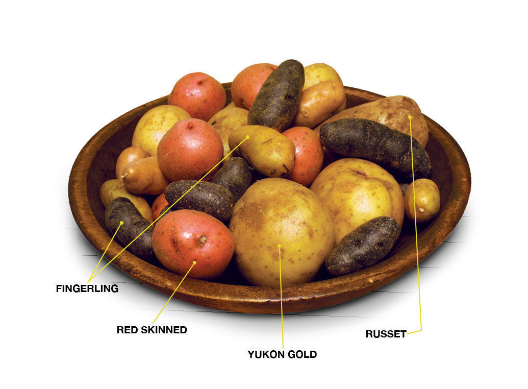 different kinds of potatoes