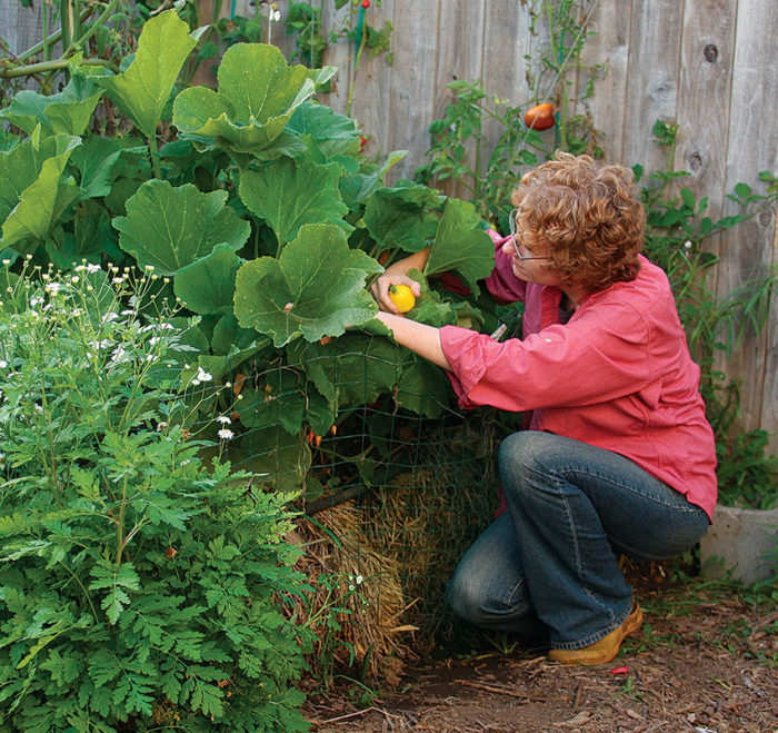 Why You Should Garden Using Straw Bales