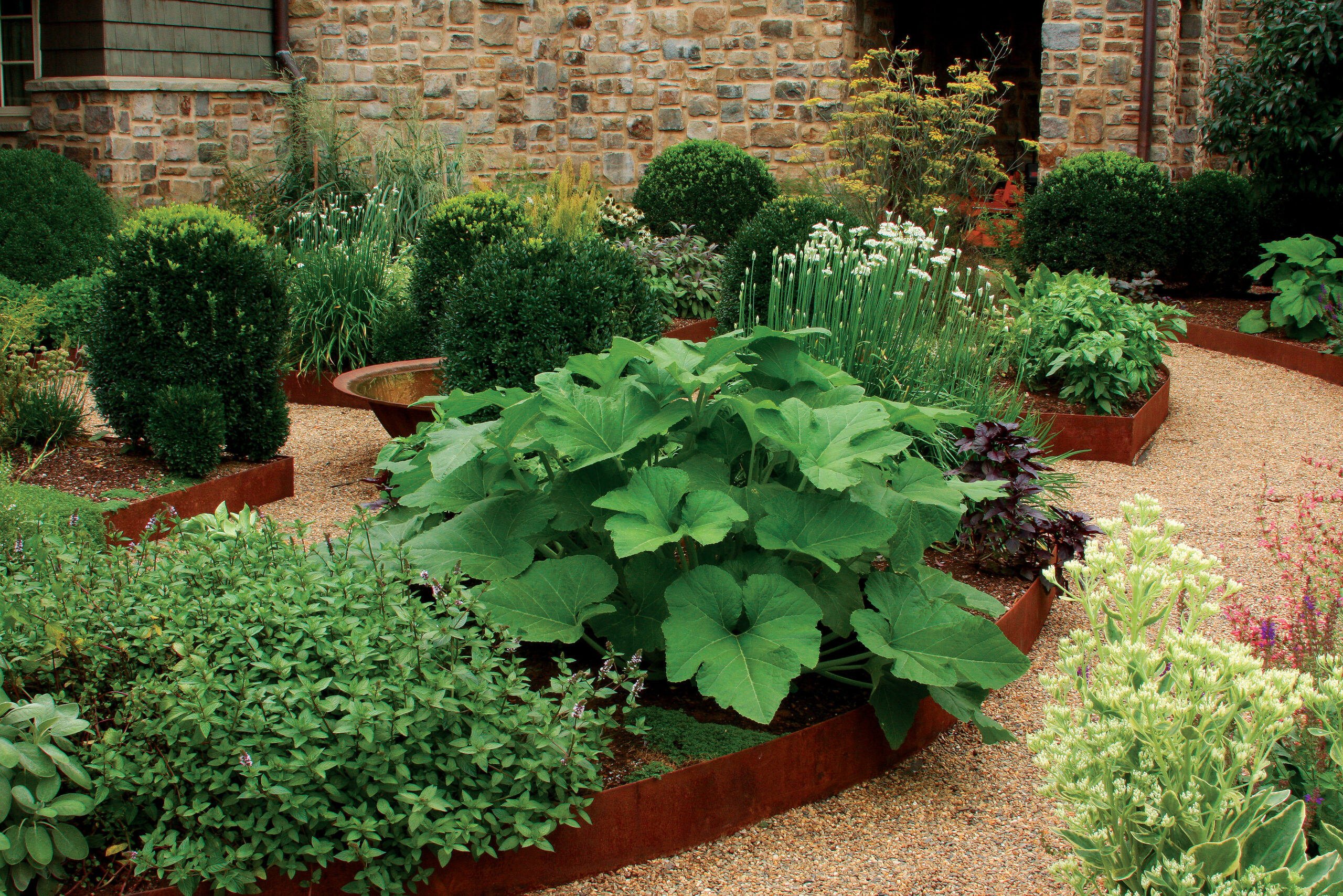 vegetable garden