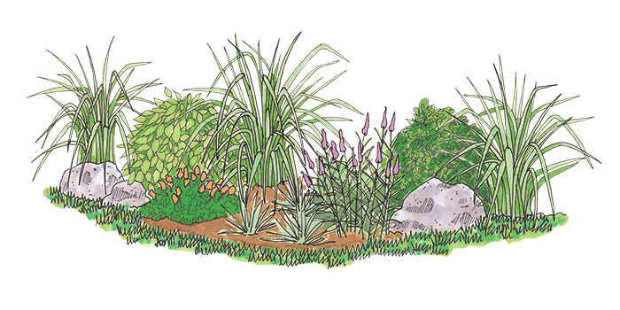 Illustration of a garden bed