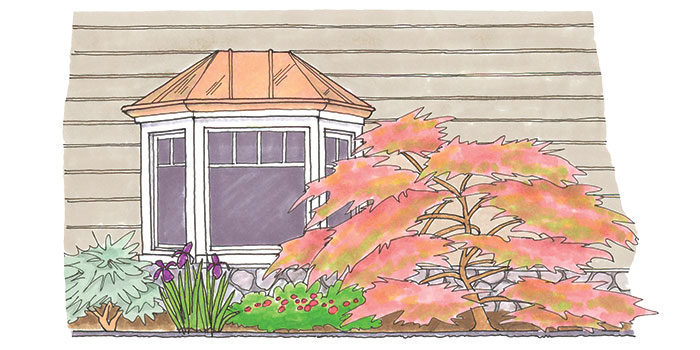 illustration of house with a garden bed in front