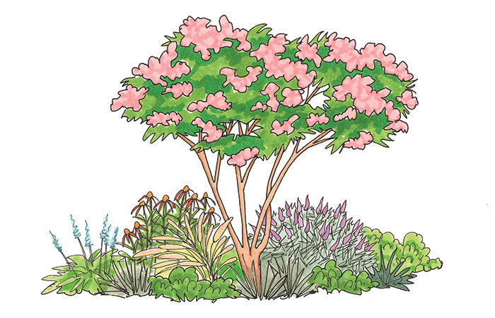 garden bed with tree illustration 