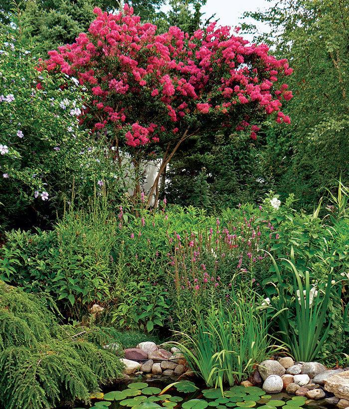 Maintaining a Perennial Garden