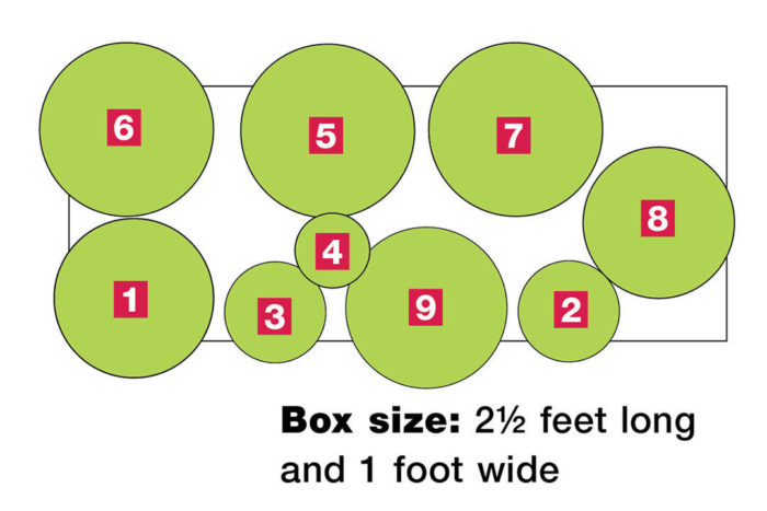 Window Box Sizing Window Boxes for Tricky Situations - Fine Gardening