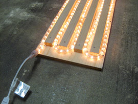 The lit up heat mat