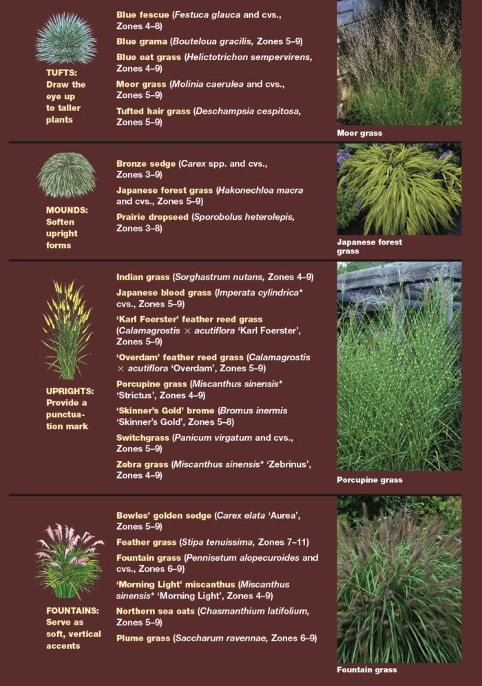 chart and photos of various grasses