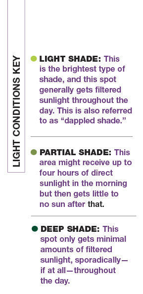 Chart of light conditions: light, partial and deep shade