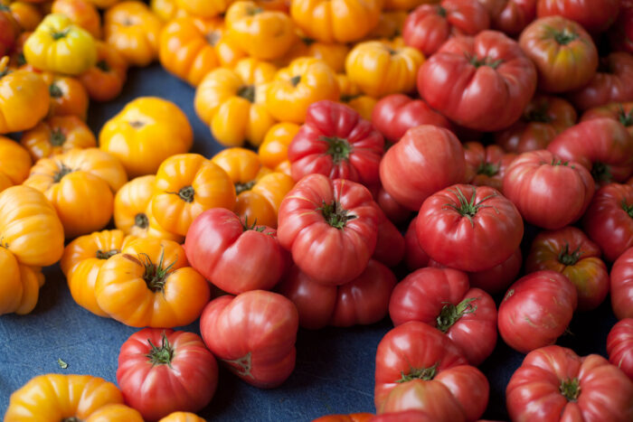 Fantastic-Tasting Pink Heirloom Tomatoes - FineGardening