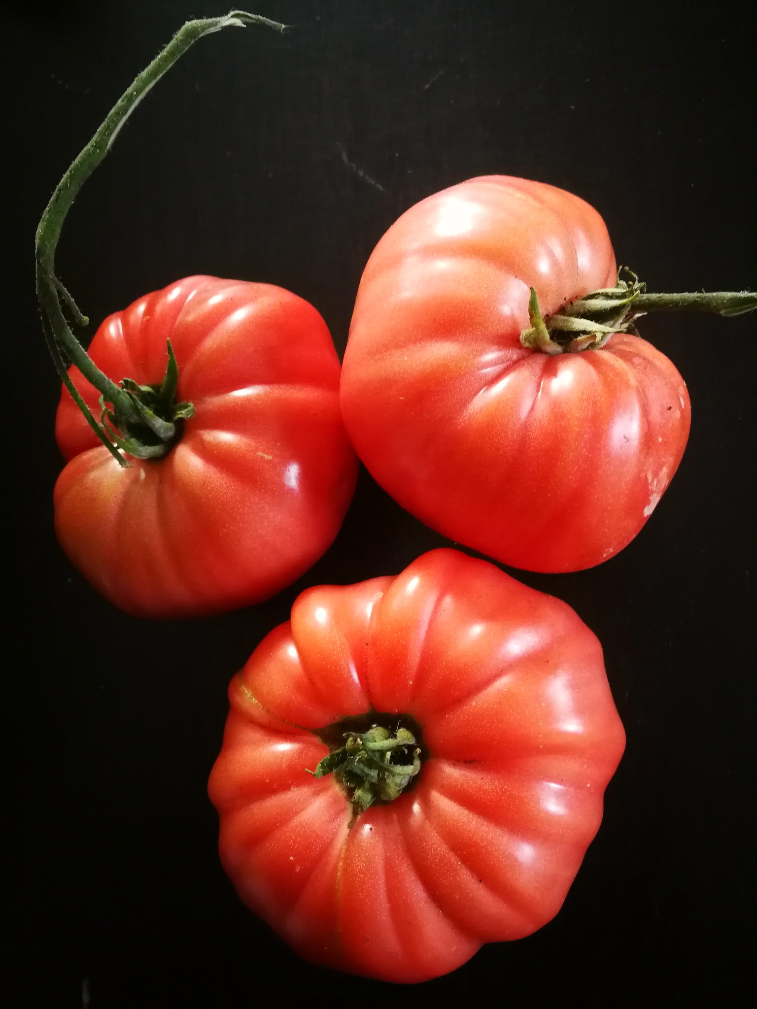 Caspian Pink Tomato, Heirloom Tomato Seeds: Totally Tomatoes