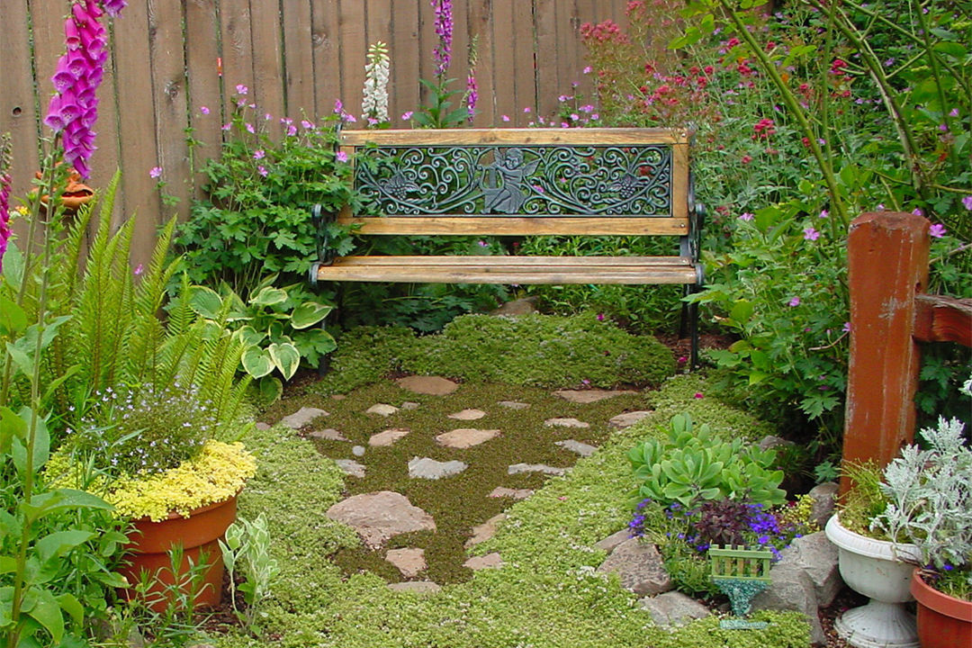 Bench with ground covers, stones and various colorful plants around it