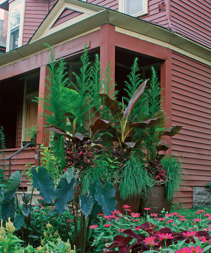 container plants used to create privacy on front porch