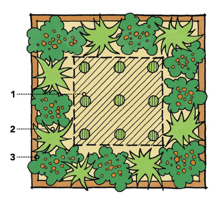 square garden bed