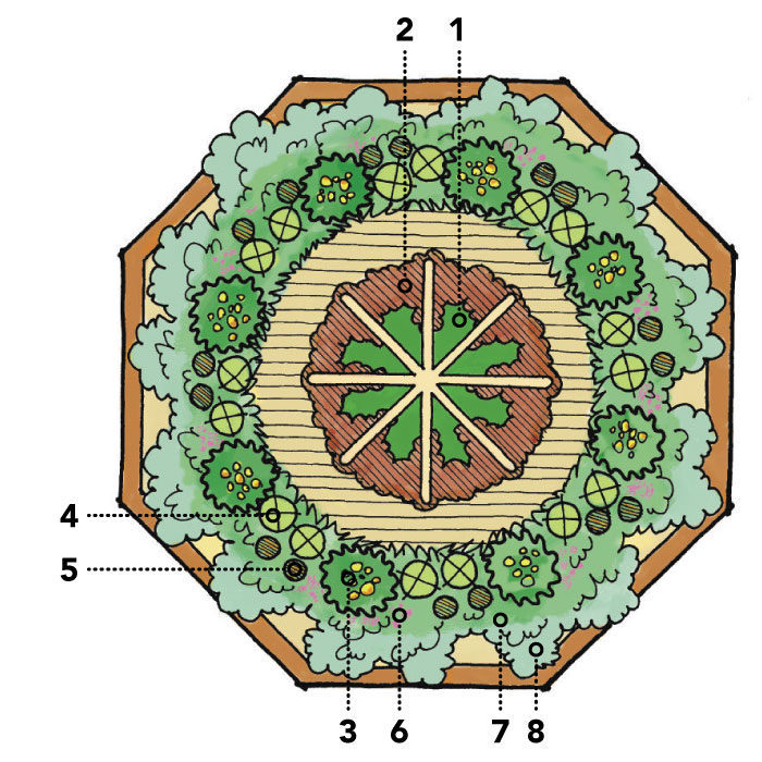 octagon garden bed