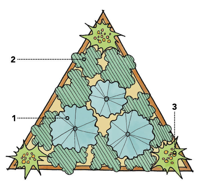 triangle garden bed