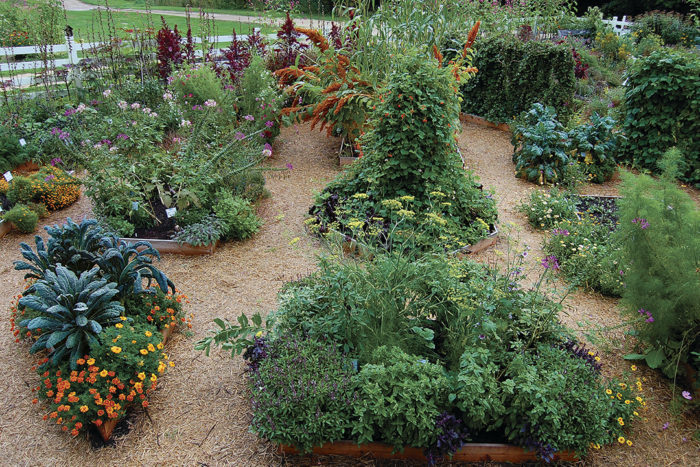 4 Vegetable Garden Layout Designs to Consider