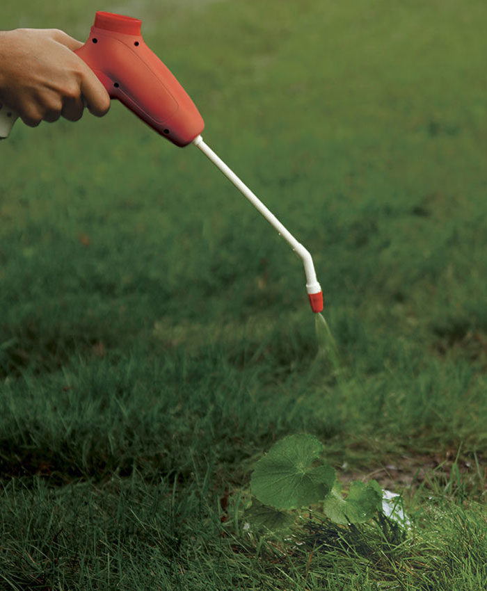 Can You Plant Trees in the Winter? We Set the Record Straight