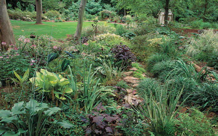 planting in wet shade