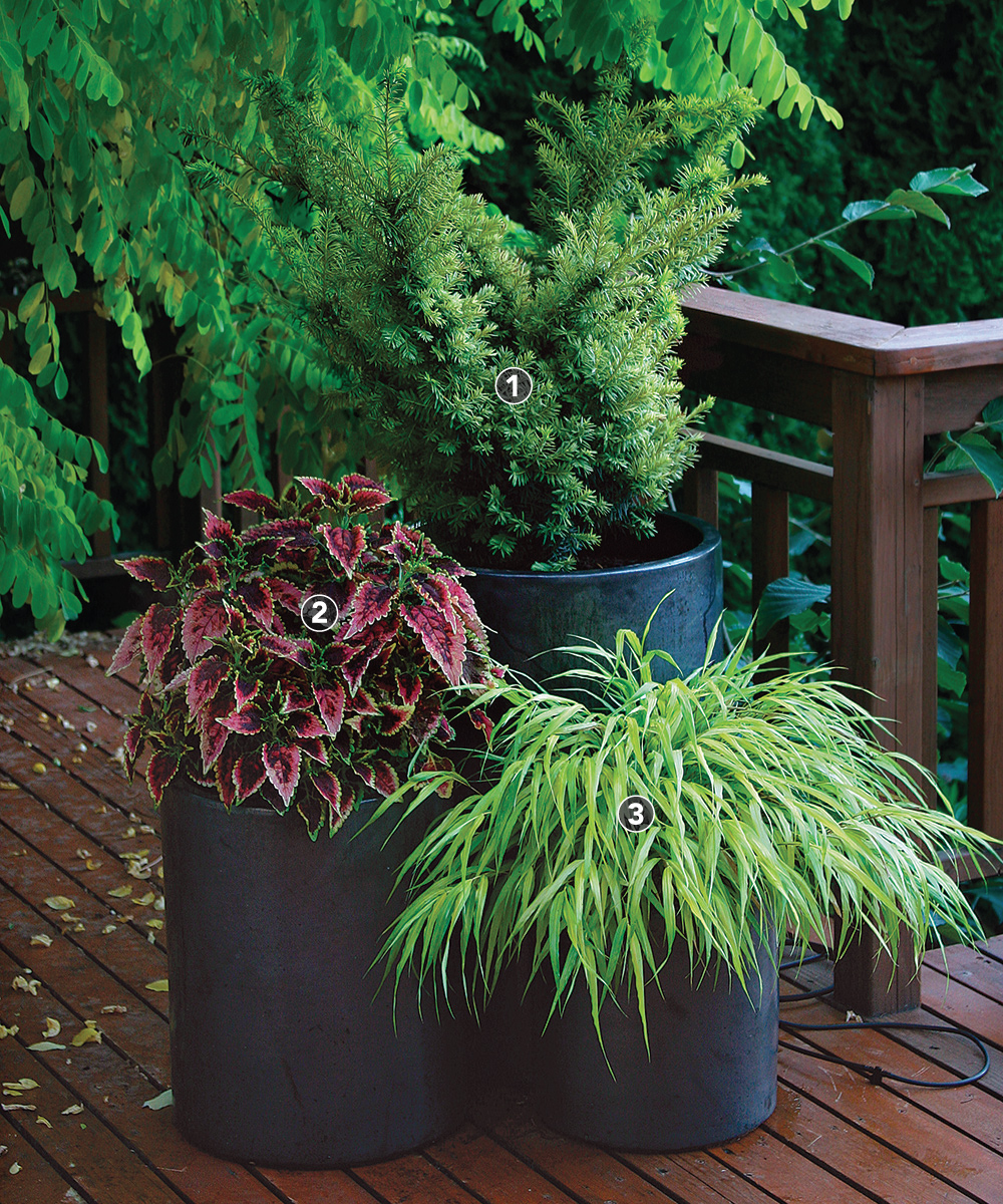 Evergreen Metallic Pot Cover