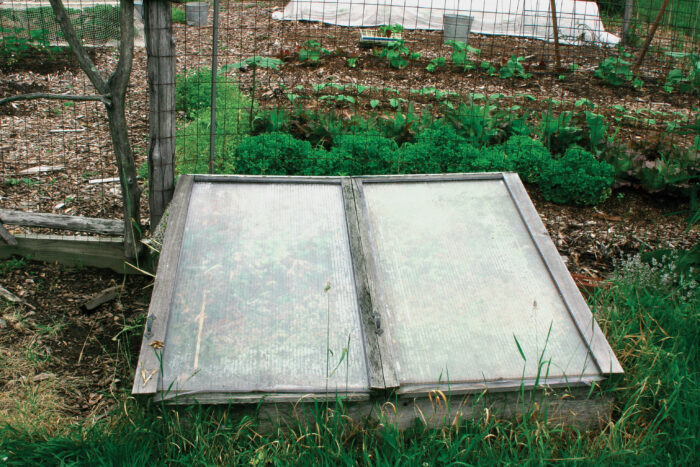 cold frame to acclimate early season plantings