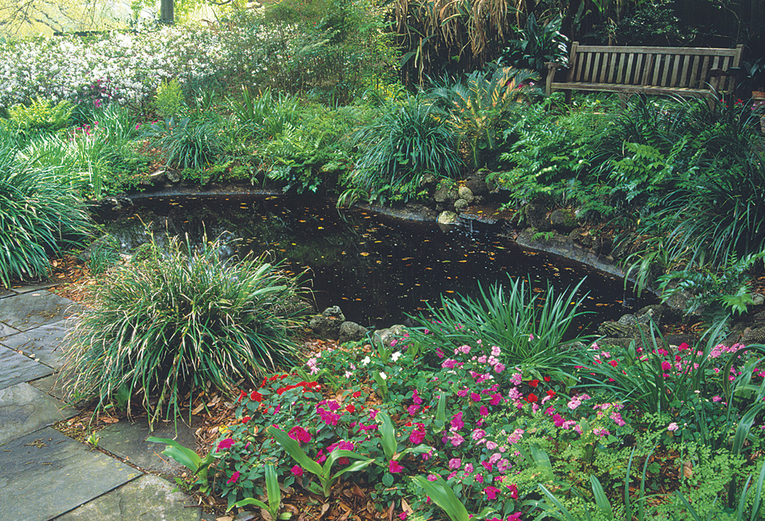 garden pond