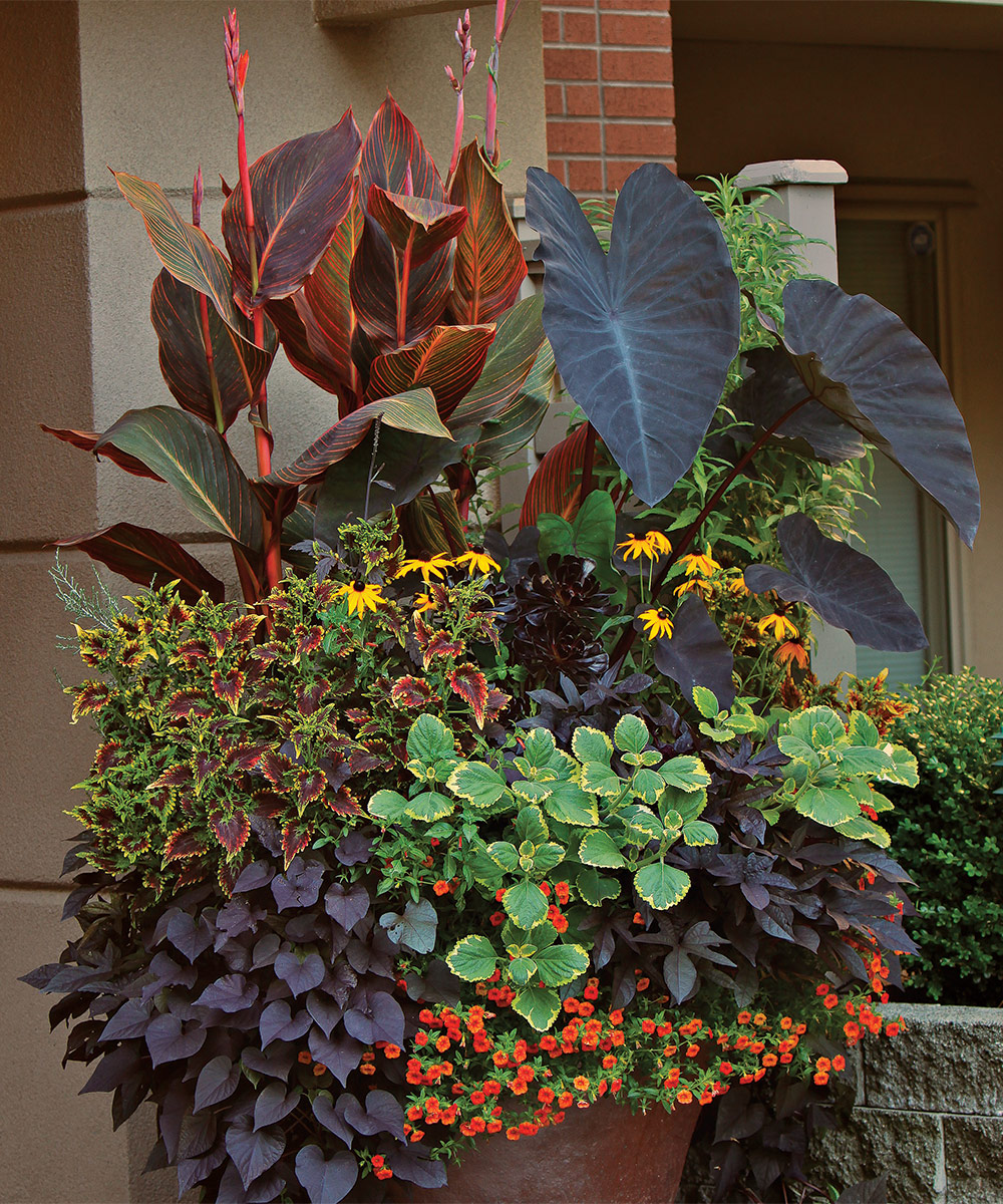 large urn container for plants