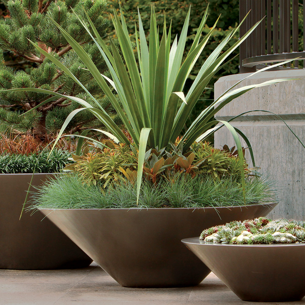 Perfect Pots: Container Inspiration for Small, Medium, and Large