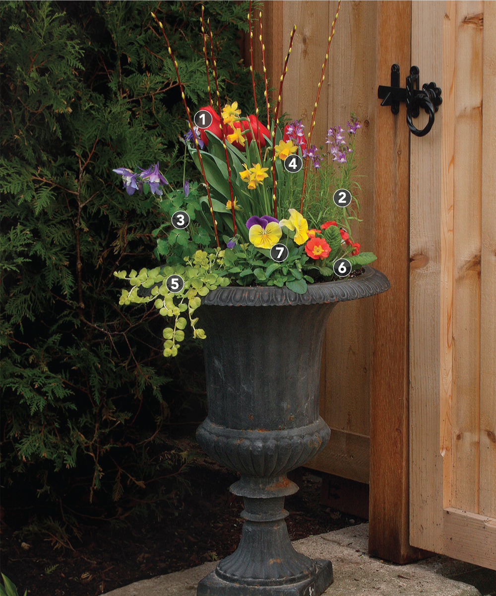 large planters with ivy pedestal