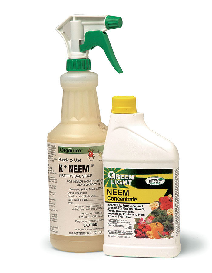 neem pest control