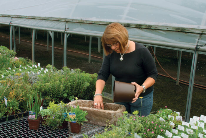 mix the soil in the trough