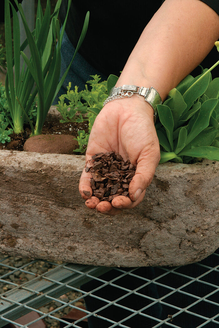 hand full of top dressing materials