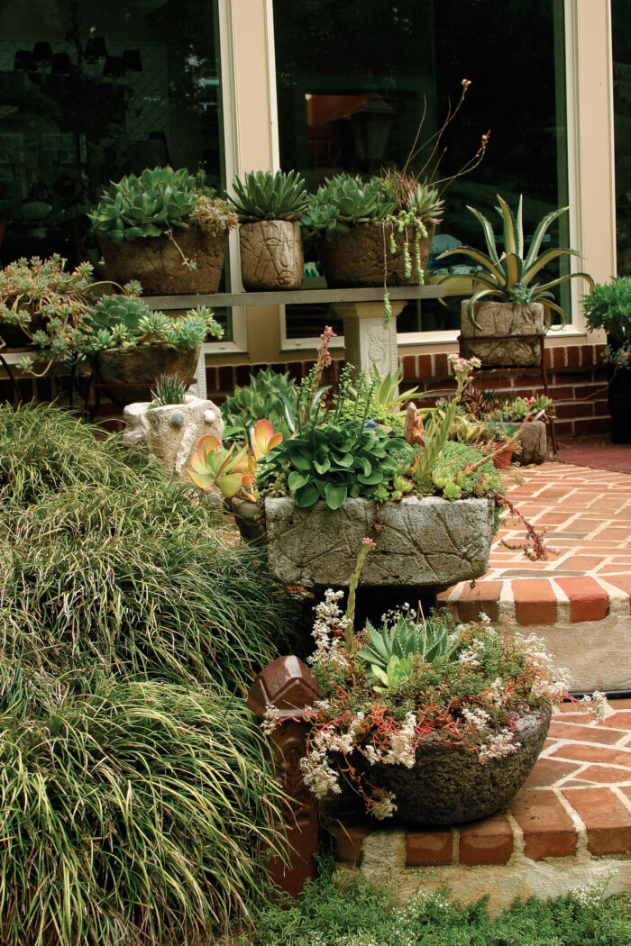 varied alpine trough planters