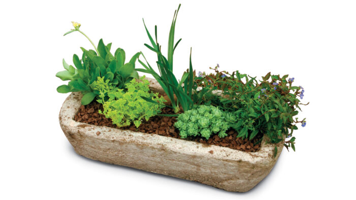 alpine planter