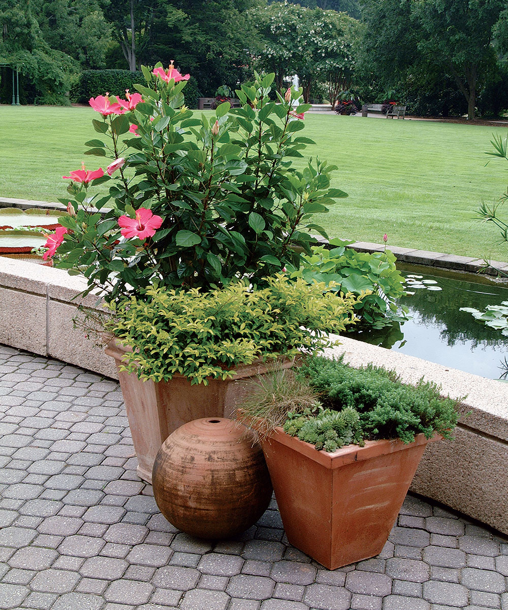 triangular vignette arrangement of containers