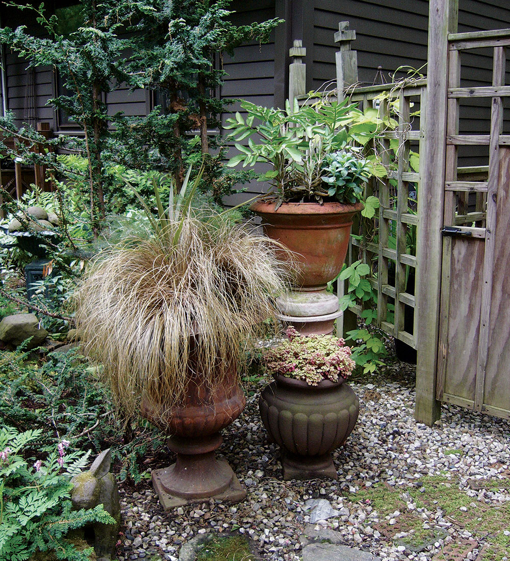 group of three containers with foliage plants