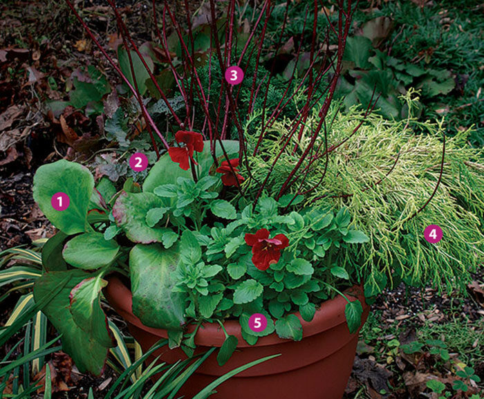 Red Blooms Copper Coaster