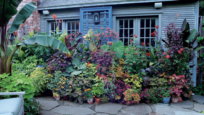 Container Plant Display along a house