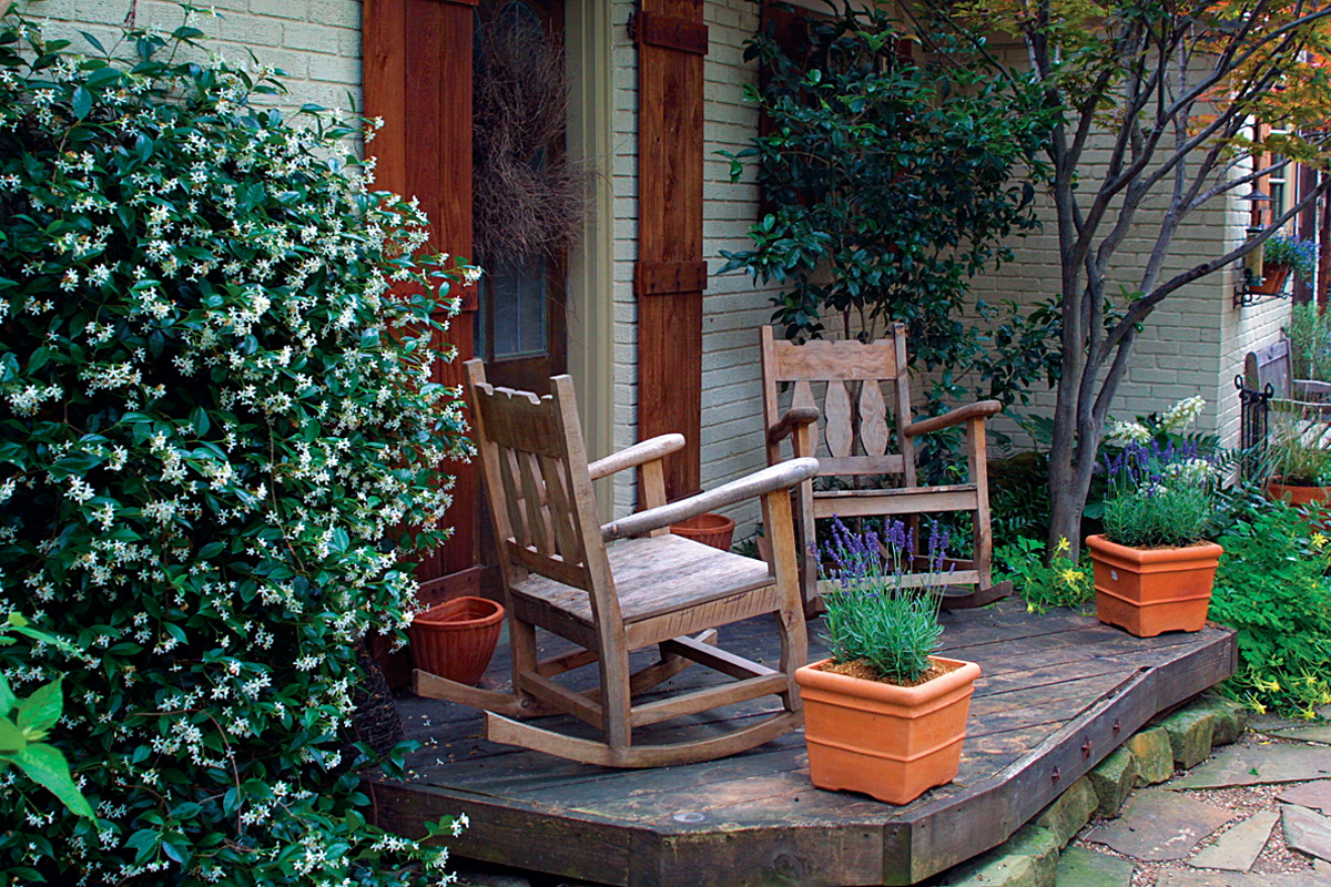 Jasmine growing by the front porch