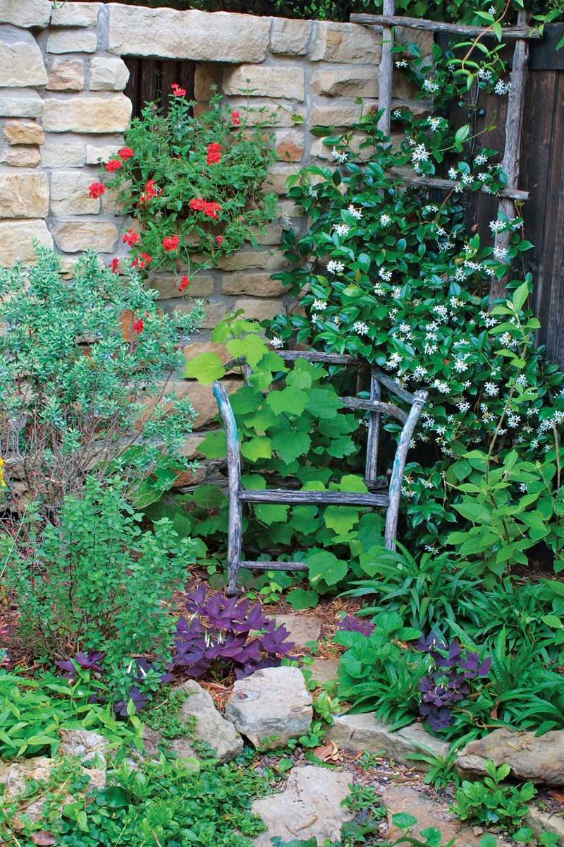 Climbers such as this jasmine and turk's cap sprawl across obstacles and lend a lush quality to the area