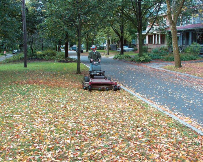 mowing the lawn