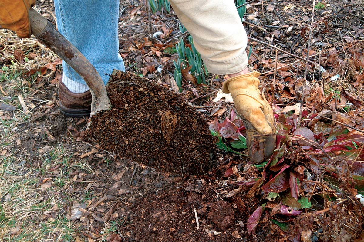 Image of Leaf mold to retain moisture