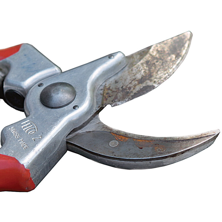 The Comprehensive Way to Sharpen Pruners Fine Gardening
