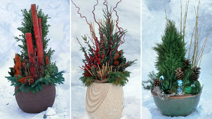 winter container ideas