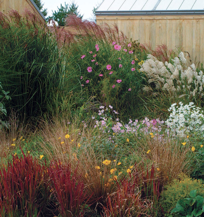 Landscaping with on sale ornamental grasses